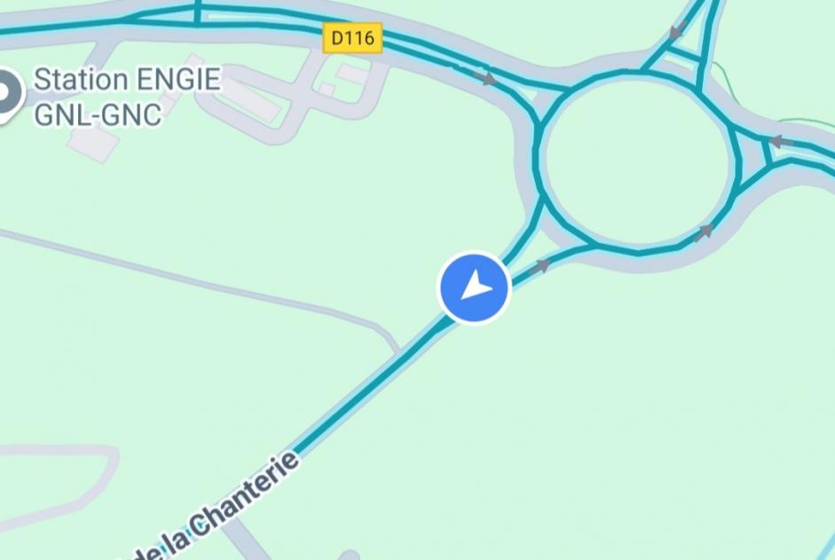 Avviso Ritrovamento Gatto Non conosciuta Saint-Barthélemy-d'Anjou Francia