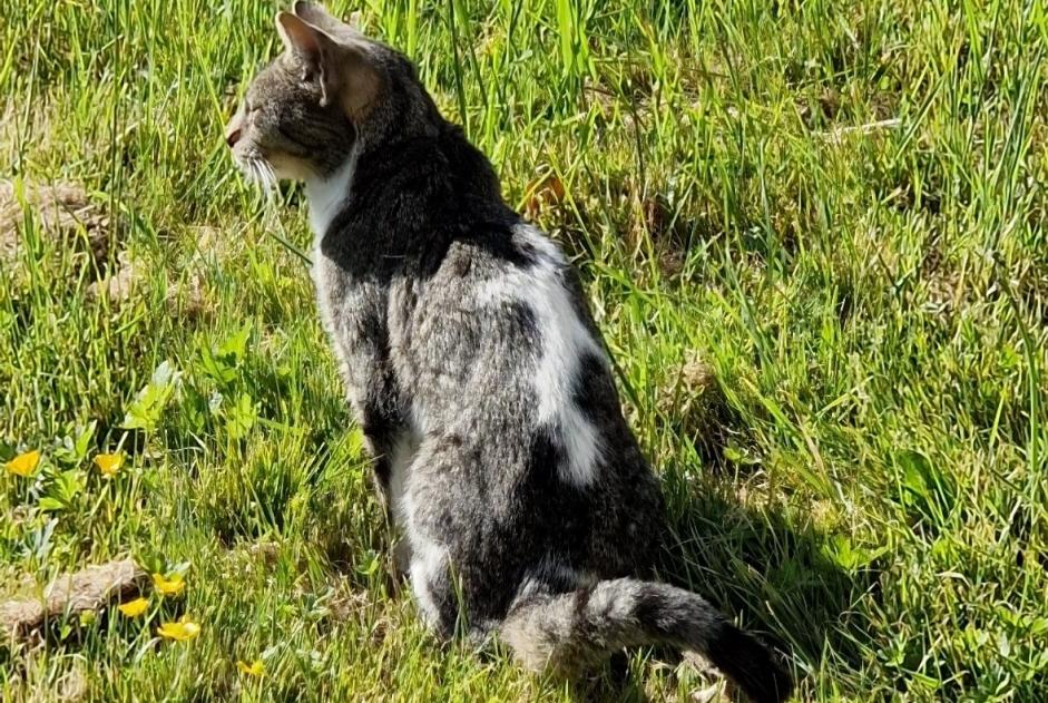 Ontdekkingsalarm Kat Onbekend Bannost-Villegagnon Frankrijk